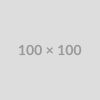 Dr Integer Posuere