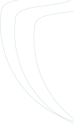 portfolio shape one